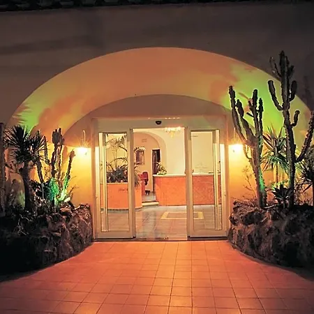 Hotel Terme Saint Raphael 4*
