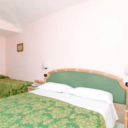 ホテル Terme Saint Raphael