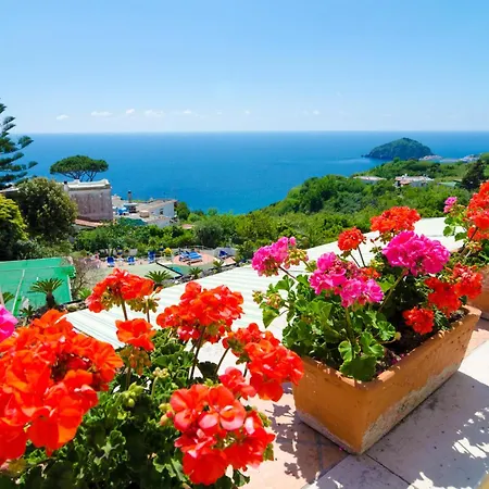 Terme Saint Raphael 4* バラーノ・ディスキア