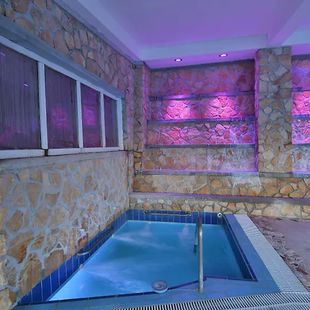 ホテル Terme Saint Raphael バラーノ・ディスキア