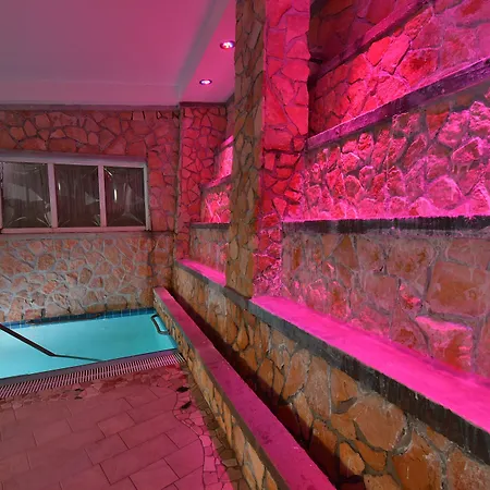 ホテル Terme Saint Raphael バラーノ・ディスキア