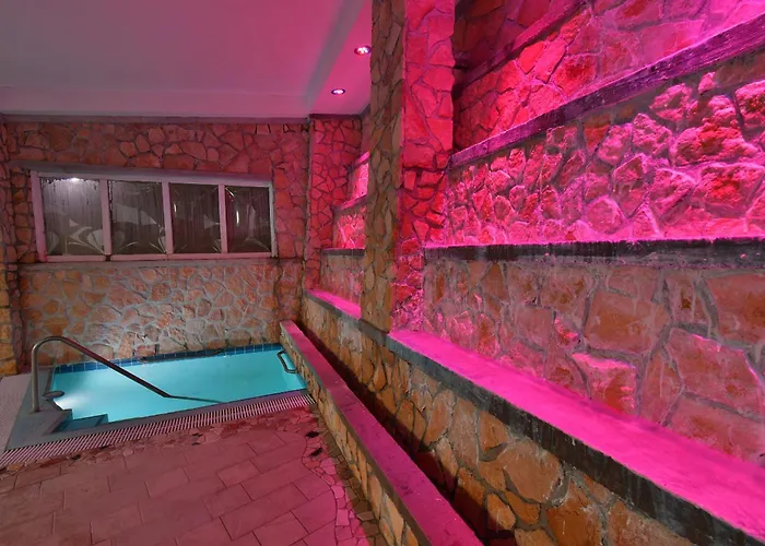 Terme Saint Raphael ホテル バラーノ・ディスキア